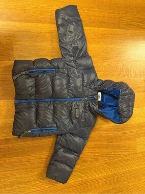 Patagonia Hi Loft Down Sweater Hoody